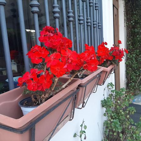 The Orange Groove Bed & Breakfast Bari Exterior photo
